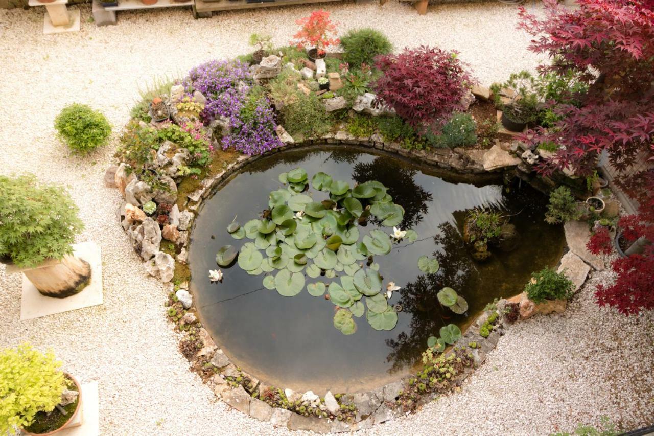 Apartment Beautiful Garden By Rent Istria Porec Bagian luar foto